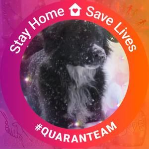 Meet your Posher, Martha